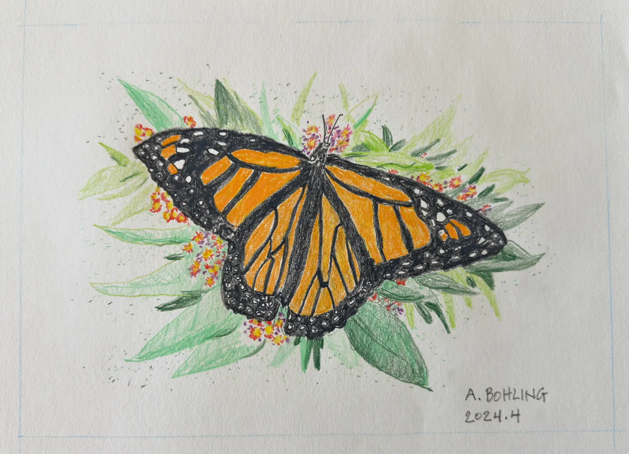 Monarch Butterfly