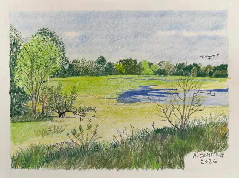 Fredonia Wetland 2026